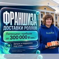 Продам высокодоходную франшизу в доставке роллов, Сухой Лог