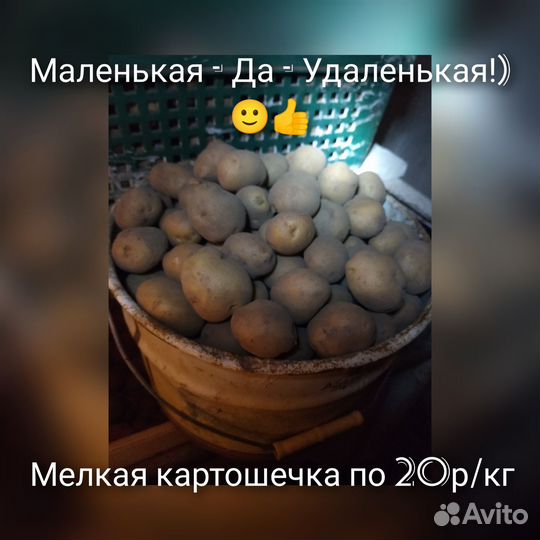 Картофан свой)