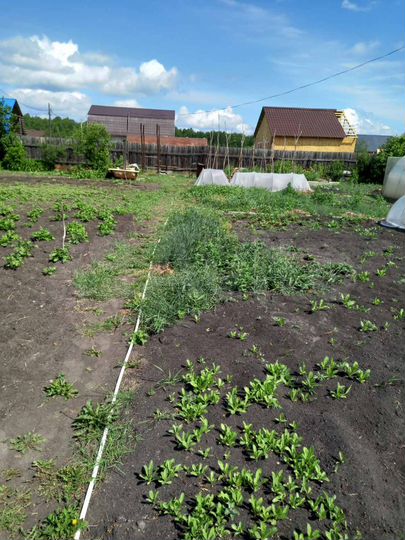 Участок 16 сот. (СНТ, ДНП)