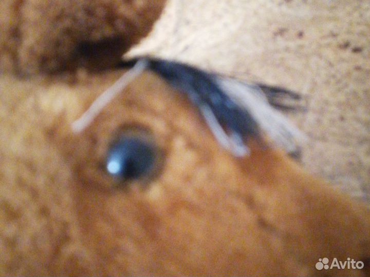 Продажа хоббихорса очень хороший новый