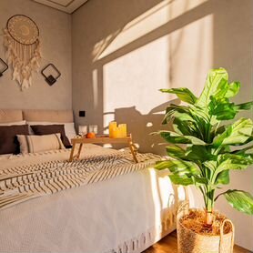 Квартира-студия, 24 м², 2 кровати