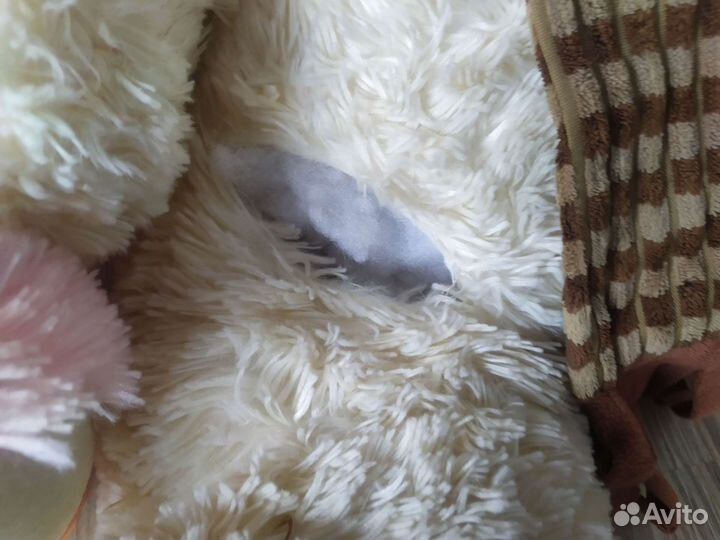 Мягкие игрушки пакетом