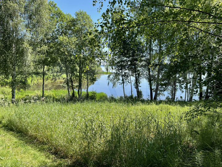 Участок 16,5 сот. (ИЖС)