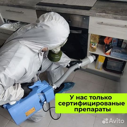 Дезинфекция