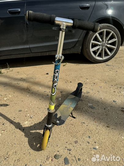 Самокат capella