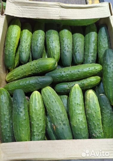 Поставляем продукты питания оптом овощи фрукты