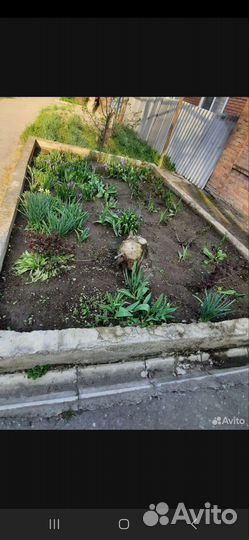 Уборка территории