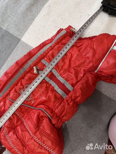 Новый комбинизон для собачки