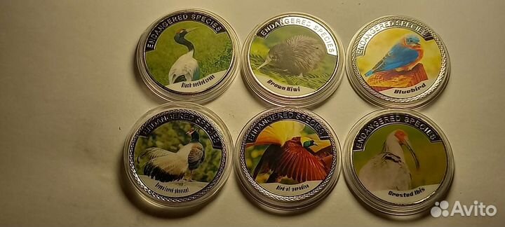 Фауна.наборы.красная книга.панда.коала.медведь