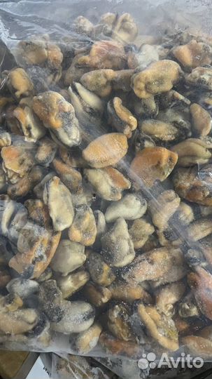 Мидии Мясо в/м