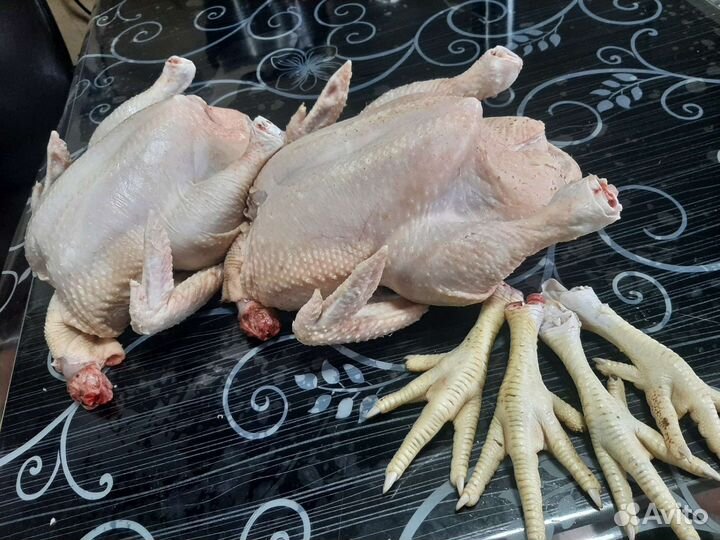 Мясо домашних кур бройлера