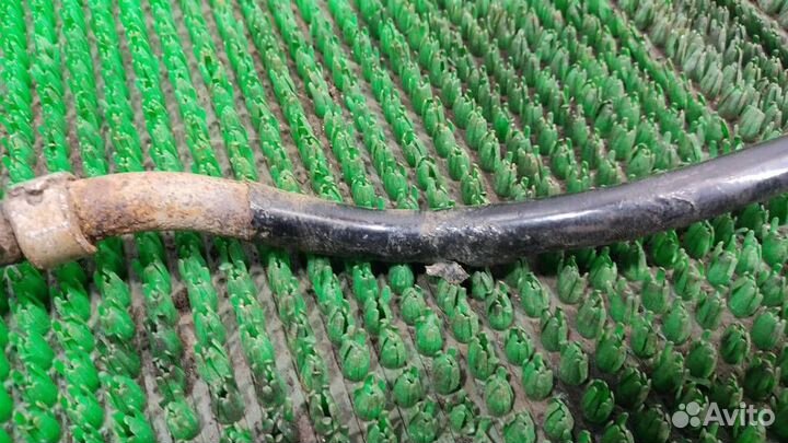 Стабилизатор задний Nissan Qashqai J10 2009