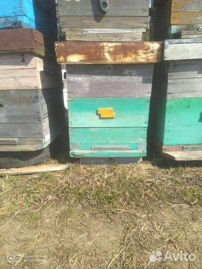 Продам ульи для пчел