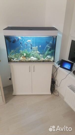 Аквариум 100 литров с тумбой и светом комплект