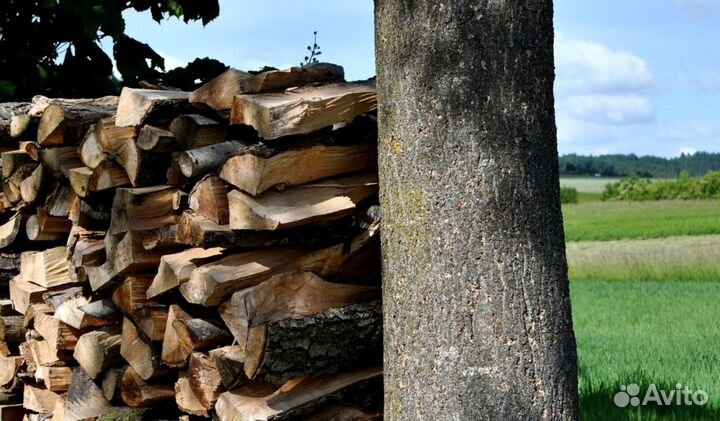 Дрова в ло