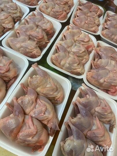 Мясо перепела