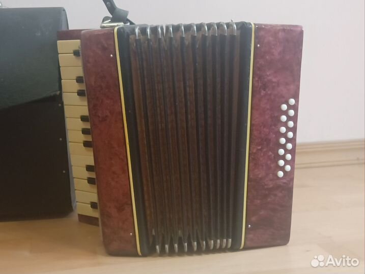 Гармонь детская 