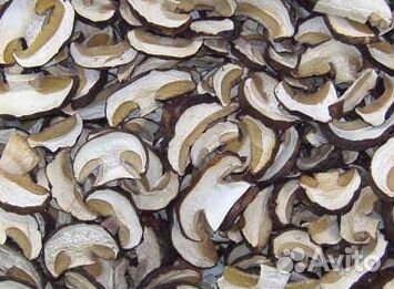 Гриб белый оптом сушеный