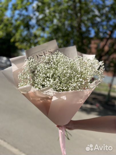 Букет из гипсофилы цветы гипсофилы 1 сентября