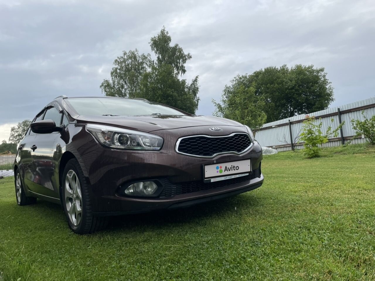 Kia Ceed: фото владельца