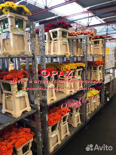 Букет 51 роза Цветы Букеты Доставка