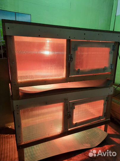 Клетка для перепелов