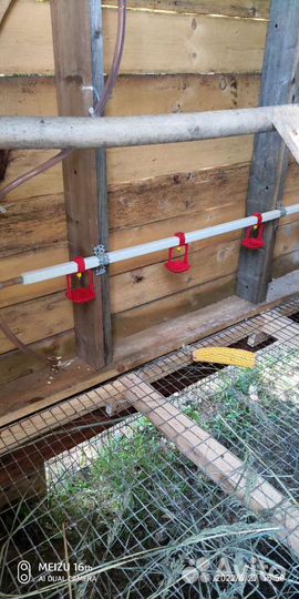 Нипельные поилки для кур