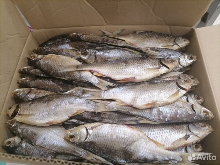 Рыба вяленая Донская Плотва