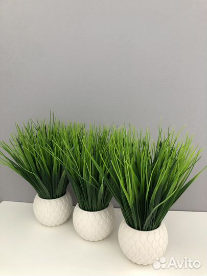 Композиция в горшке 3 шт