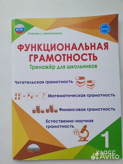 Комплект рабочих тетрадей 1 класс Перспектива