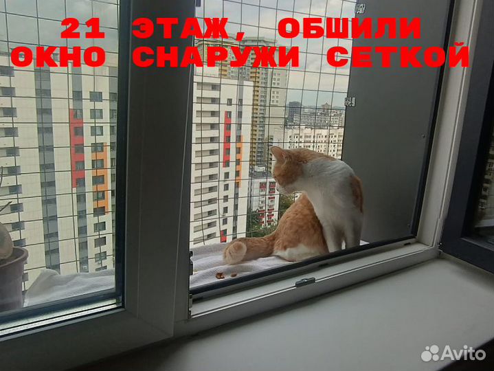 Сетки и решетки Антикошка под ключ