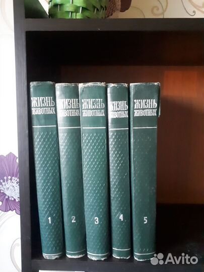 Жизнь животных СССР