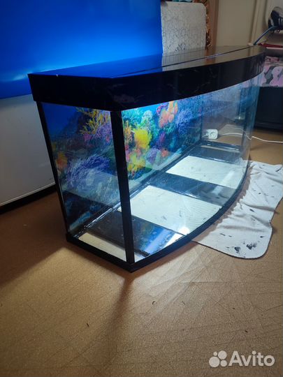 Аквариума большой понарамни