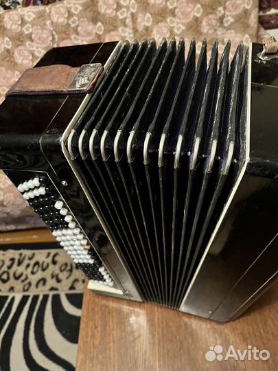 Баян тульский