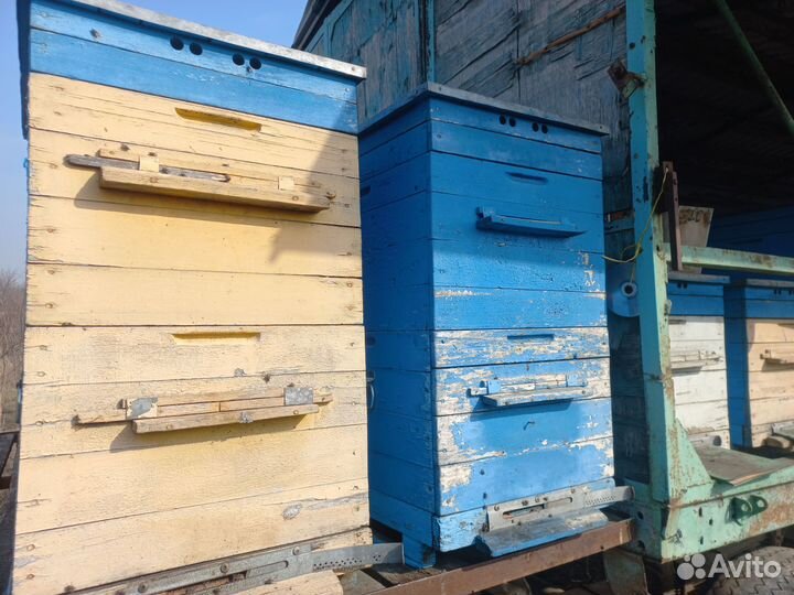 Пчелоприцеп пасека ульи