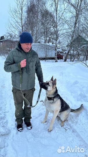 Кинолог-зоопсихолог