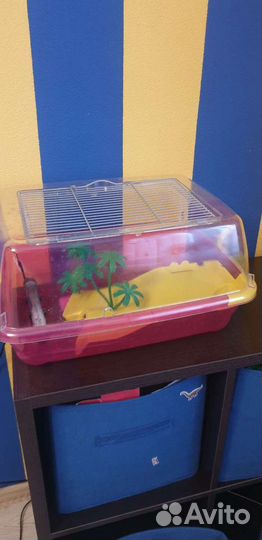 Террариум для красноухой черепахи