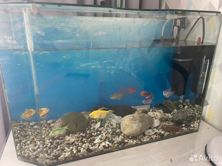 Аквариум