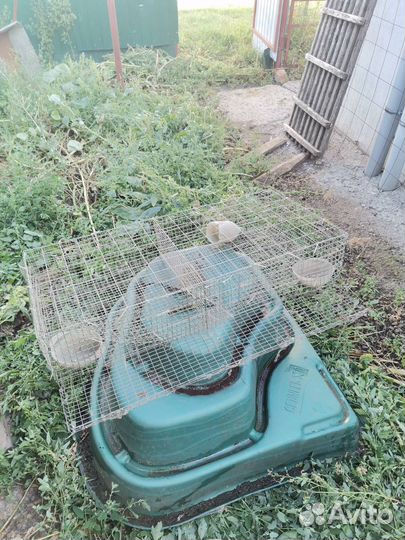 Клетки для перепелов новые