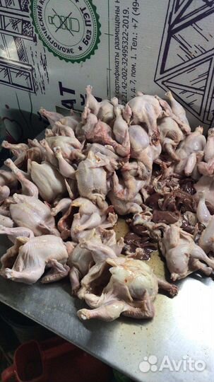 Мясо кур бройлер, домашняя курица, опт