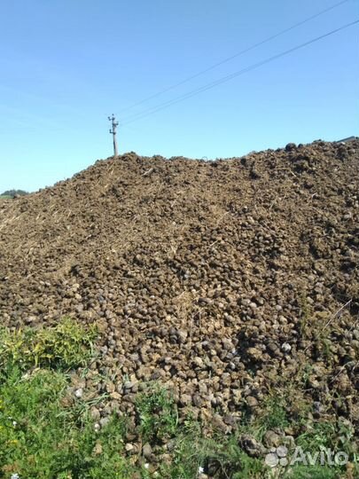 Конский навоз (перегной)