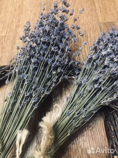 Букетик ищ лаванды, сухоцвет