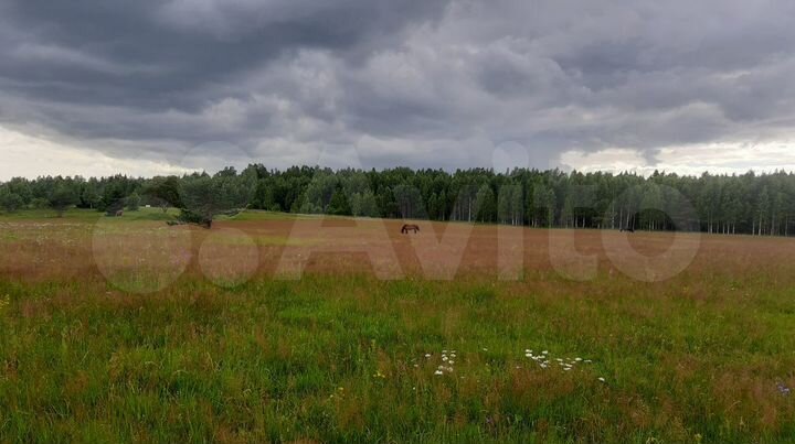 Участок 1,26 га (СНТ, ДНП)