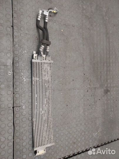 Радиатор масляный Volkswagen Arteon, 2019