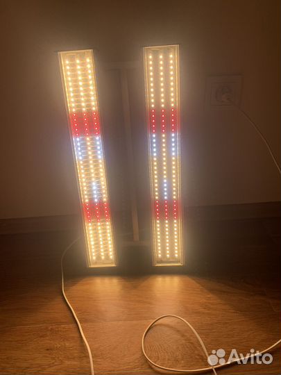 Quantum board SDG Fito 120w