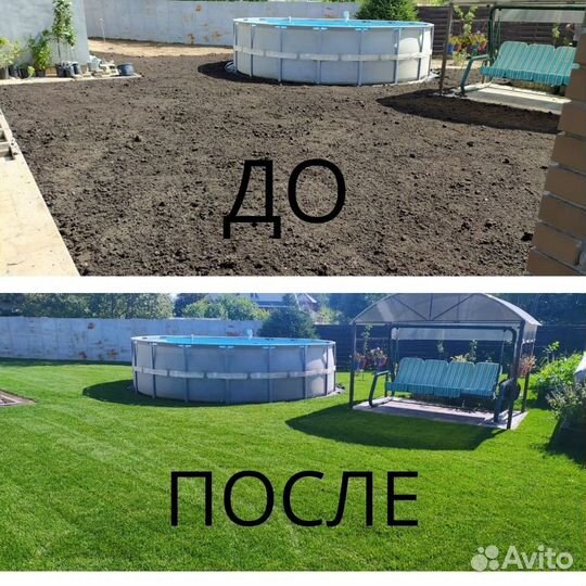 Рулонный газон Ландшафт в Щелково