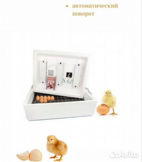 Инкубатор для яиц автоматический бу