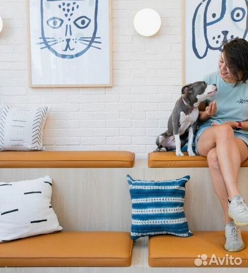 Скорая ветеринарная помощь. Ветеринарный врач