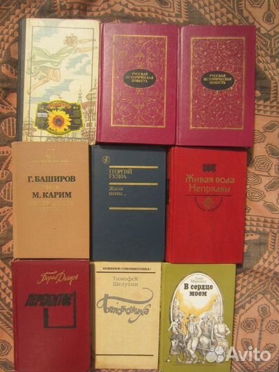 Т. Шелухин. Белокониха. 1987 год