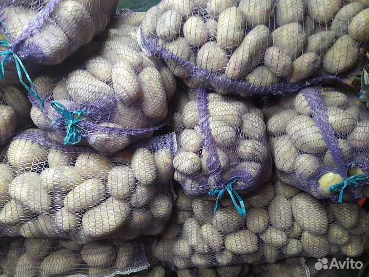 Продам картофель